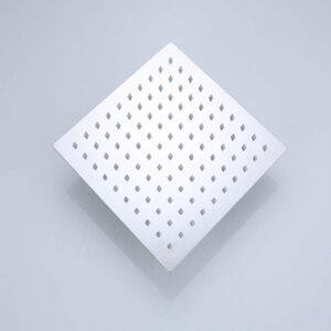 Stainless Steel Shower Head