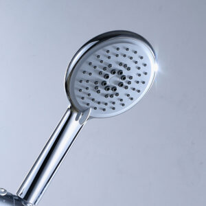 ABS 5 Function Shower Handset
