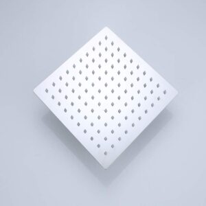Stainless Steel Shower Head SL20