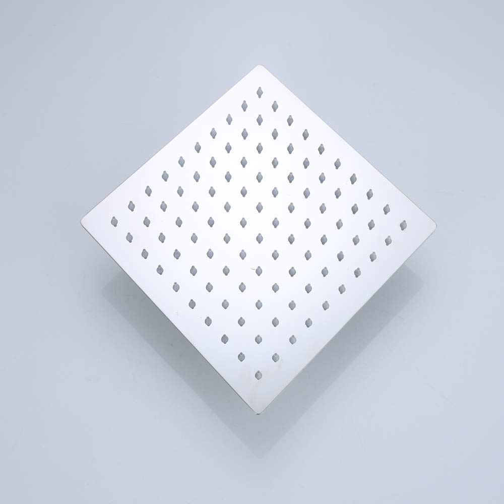 Stainless Steel Shower Head SL20